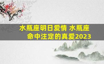 水瓶座明日爱情 水瓶座命中注定的真爱2023